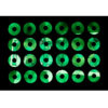 Platine-Peinture phosphorescente - Artiste-Peintre-Dush-Street-Art-Grand-Est (3)